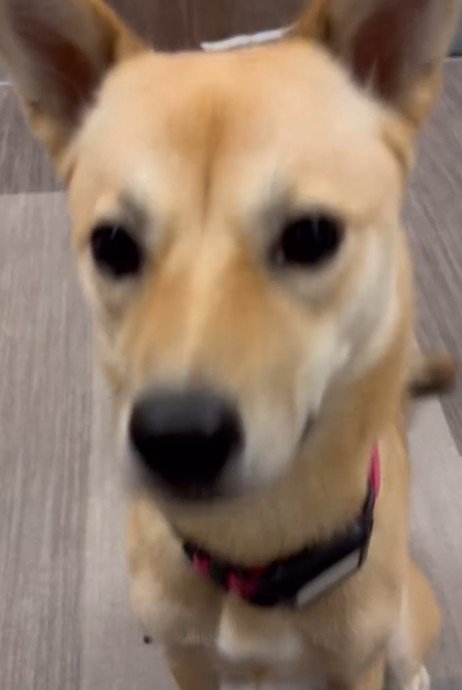 すっかり幸せな表情に