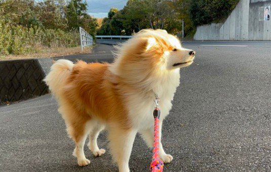 「これからどこに行こうかな？」