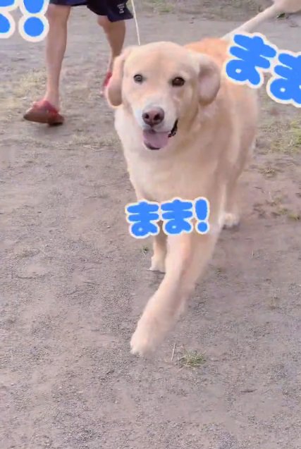 笑顔のメルくん