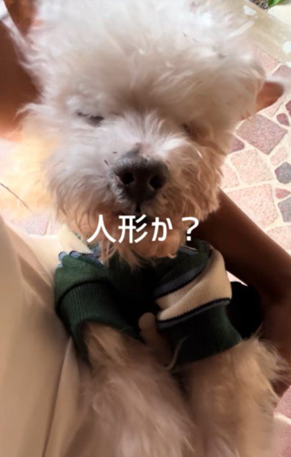 家に着いても寝てる！