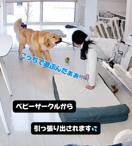 子育て中の家族とこてつ君の日常2