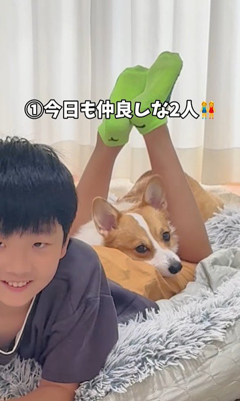 宿題中の男の子とココちゃん2