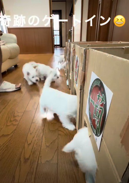 こんなに可愛い「一蘭」見たことない…！
