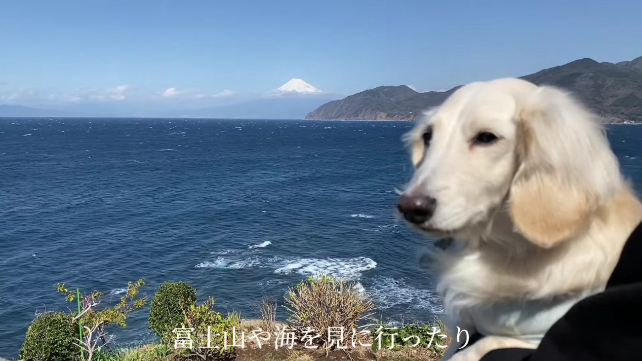 温かな暮らしの始まり