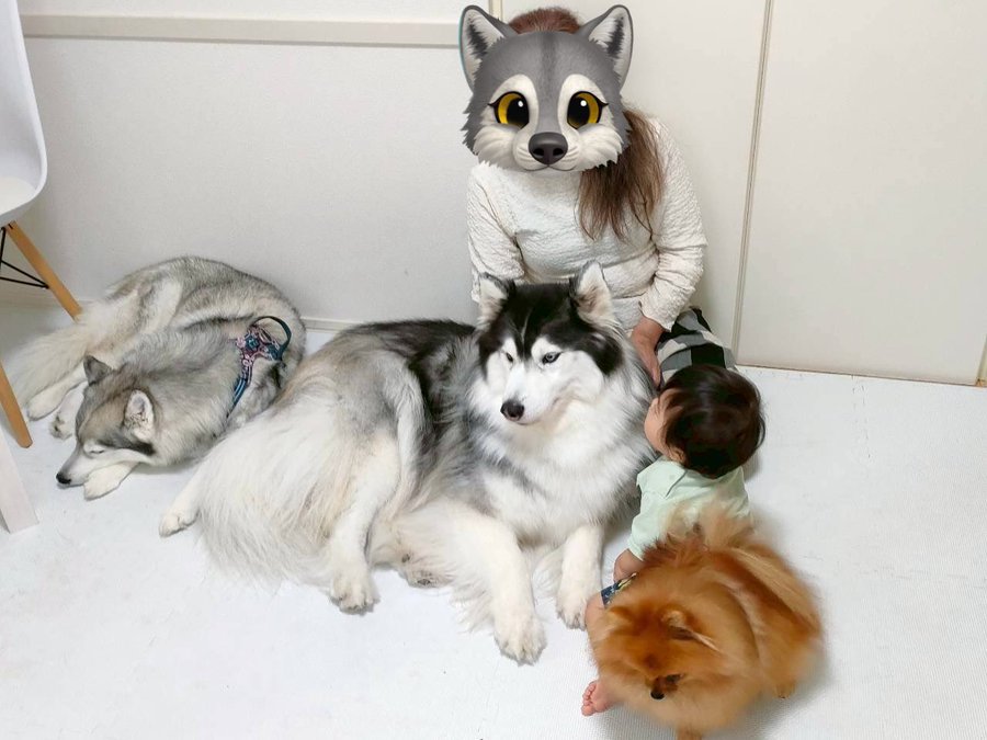 弟くんに集まる