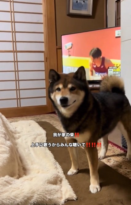 胡麻柴のしゅんくん