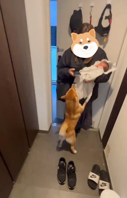 ママに飛びつくおもちくん