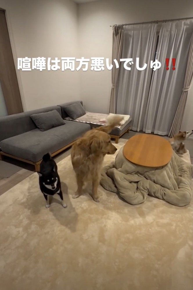 余裕あふれる男、福くん