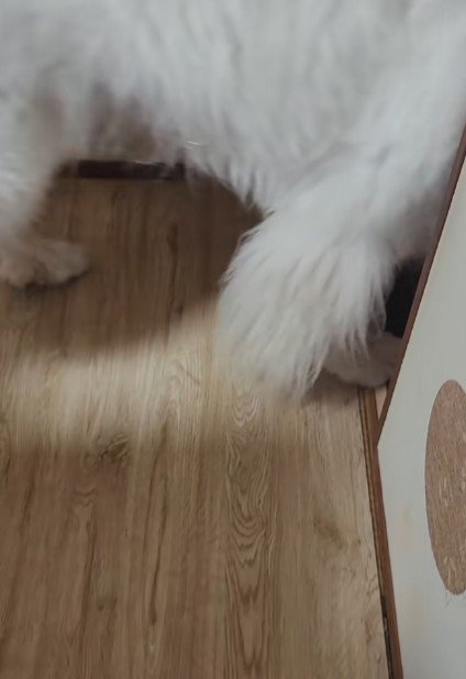 切ない背中にホッコリ