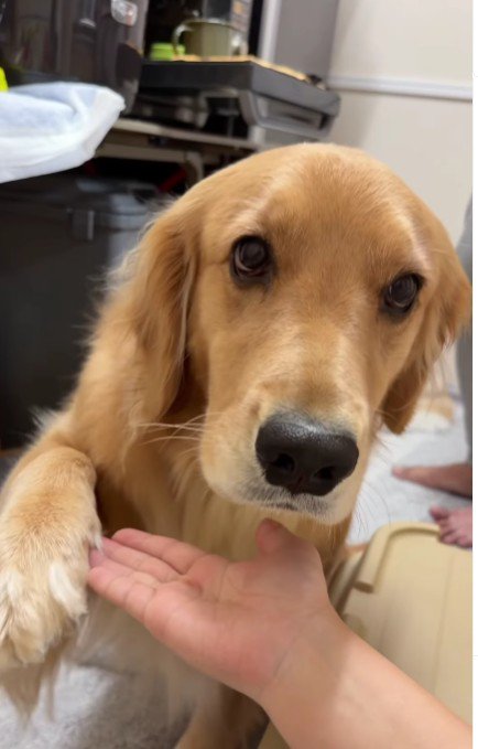 「さっきはごめんね」