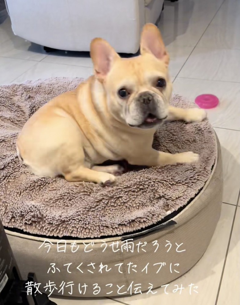 「すぐ行こ！」