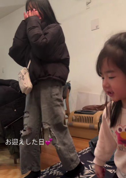 「こんなわんちゃん欲しかった～」