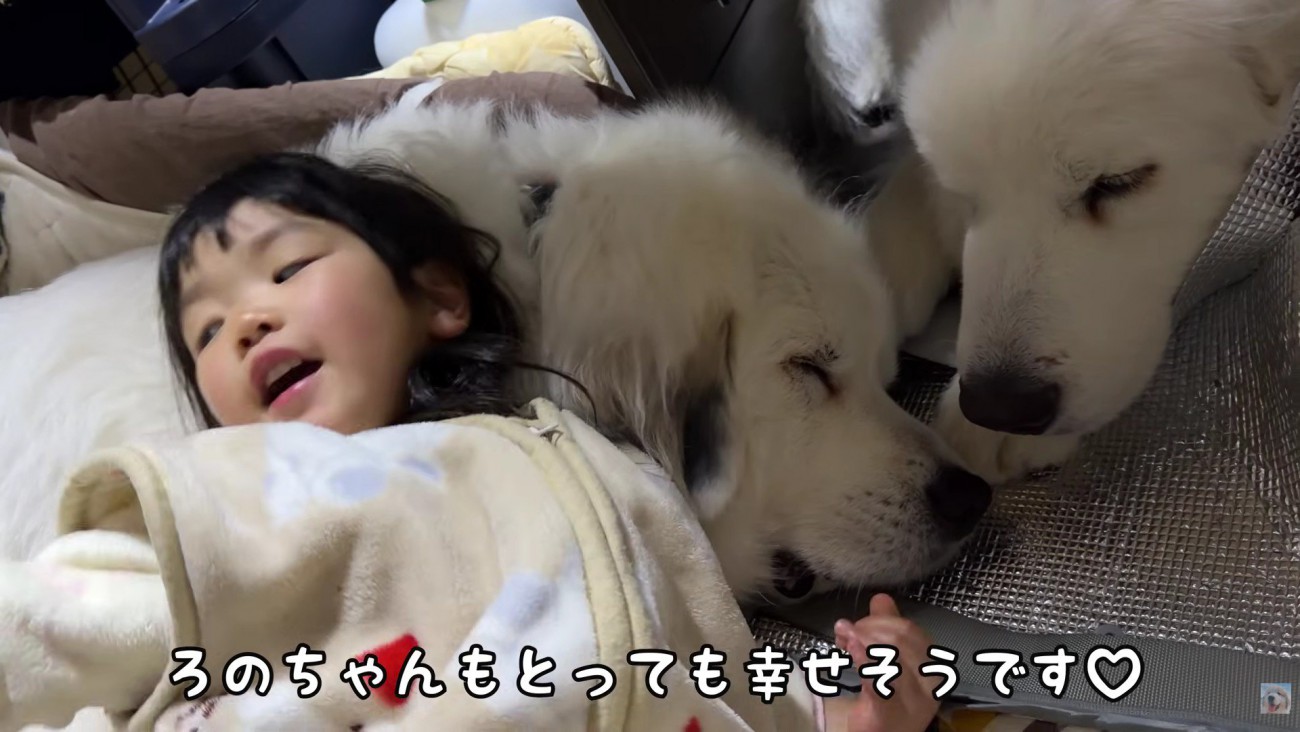 微笑ましい光景にホッコリ