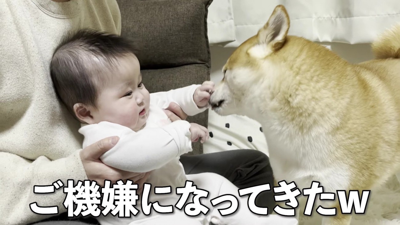 ご機嫌になってきた♪