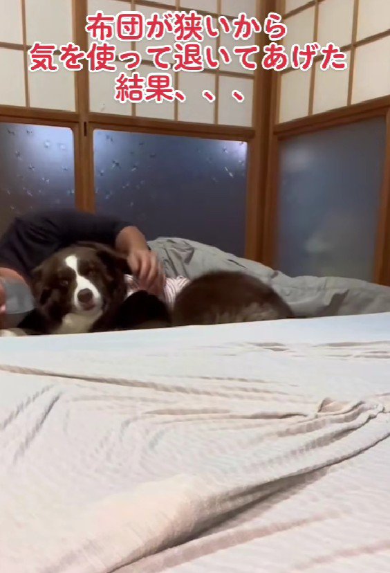 彼女みたいなテールちゃんでした