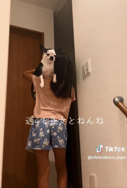 寝室へ行くピペちゃん