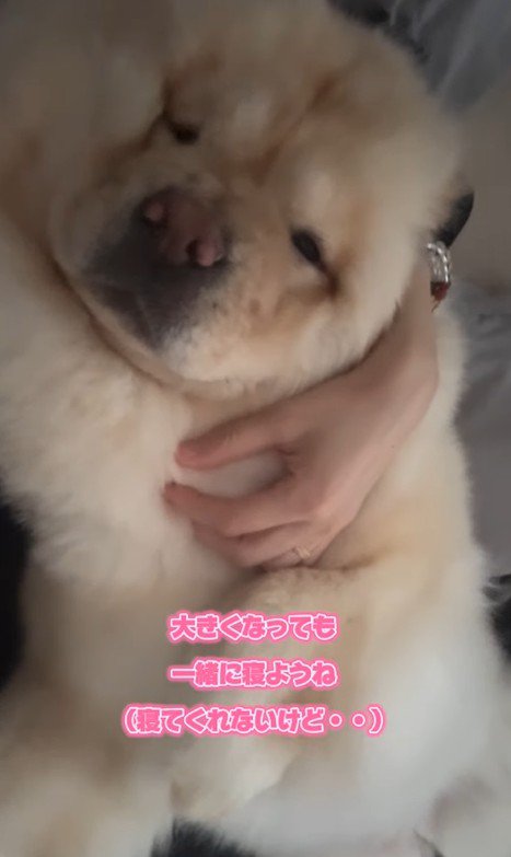 小梅ちゃんの成長6