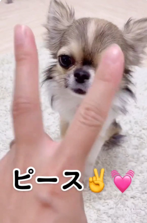 ピースするママ