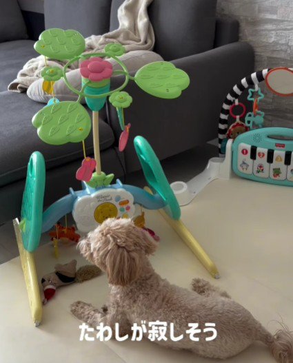 おもちゃを改造したら…