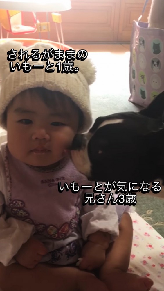赤ちゃんの頬を舐める犬