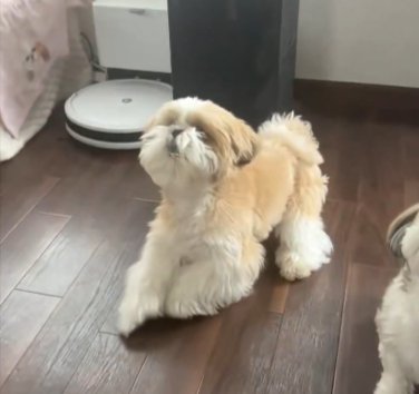 見上げる