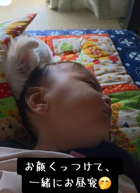寄り添って眠る小型犬と赤ちゃん