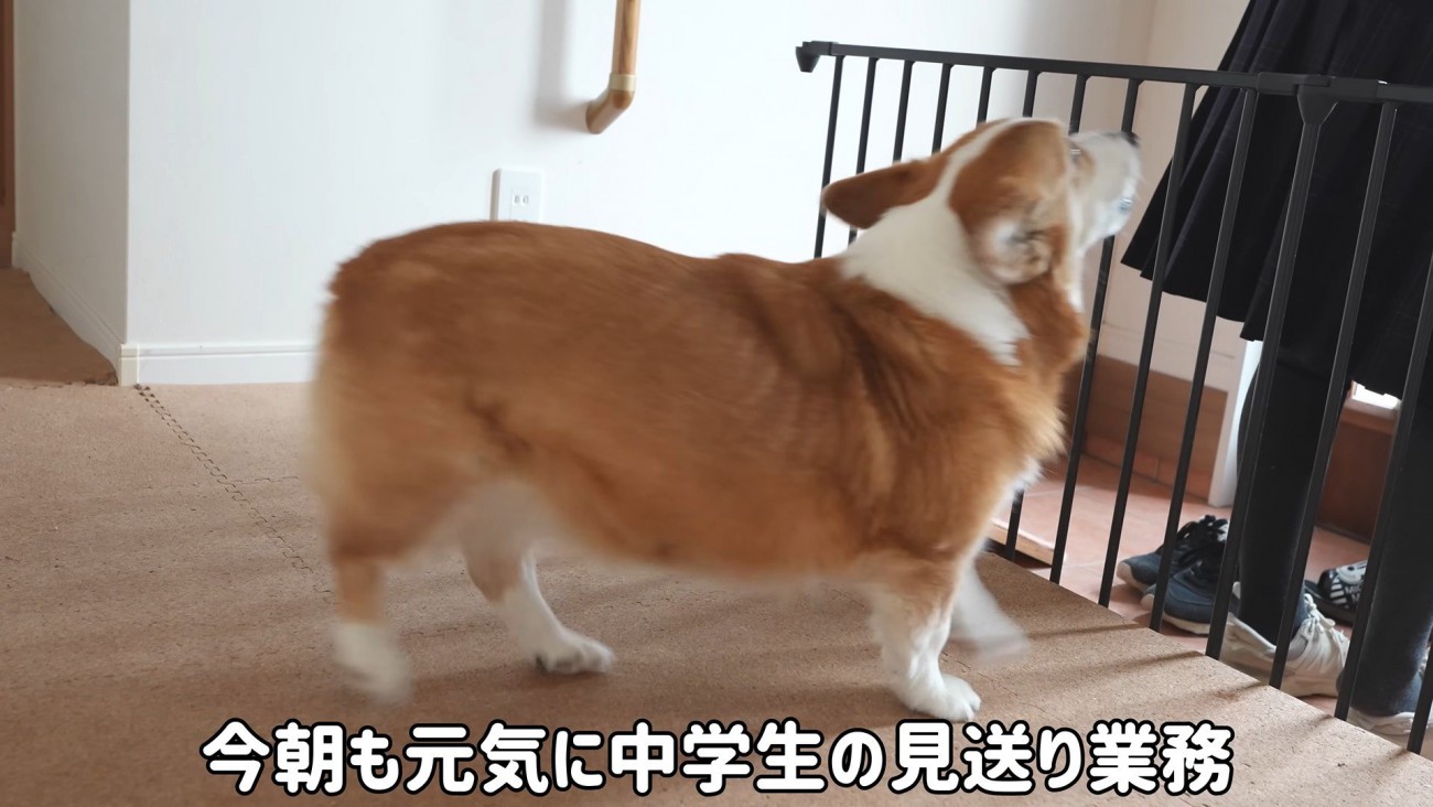 お姉ちゃんをお見送り