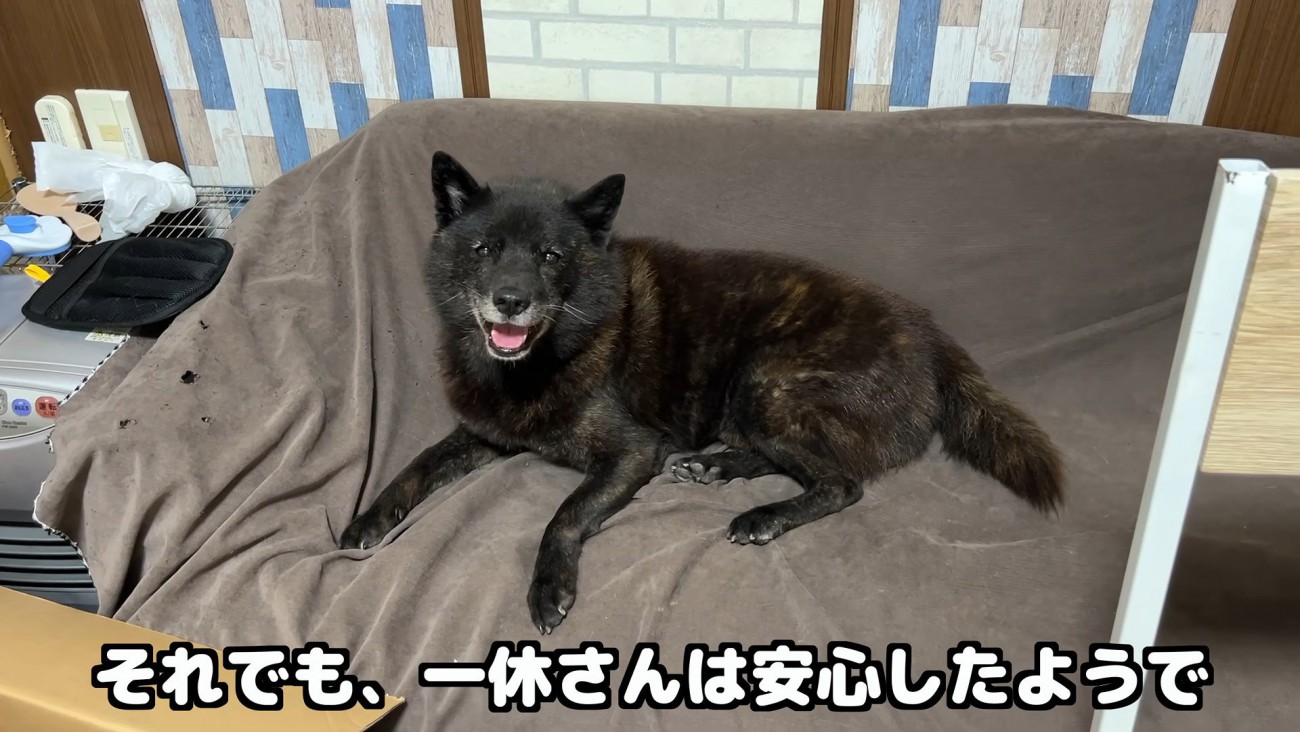 2人の元気な姿を見て一安心♪