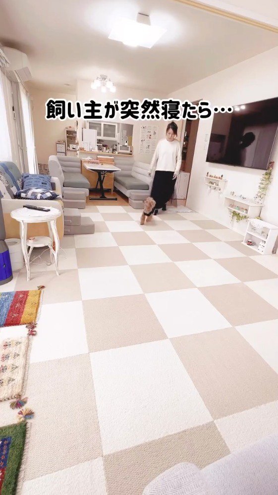 リビングに入ってくる飼い主と茶色い犬