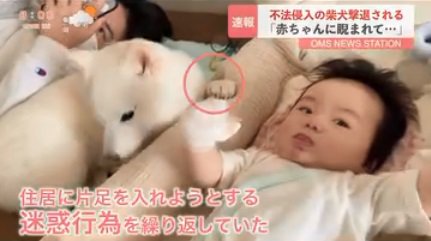 片足を入れるおまめくん