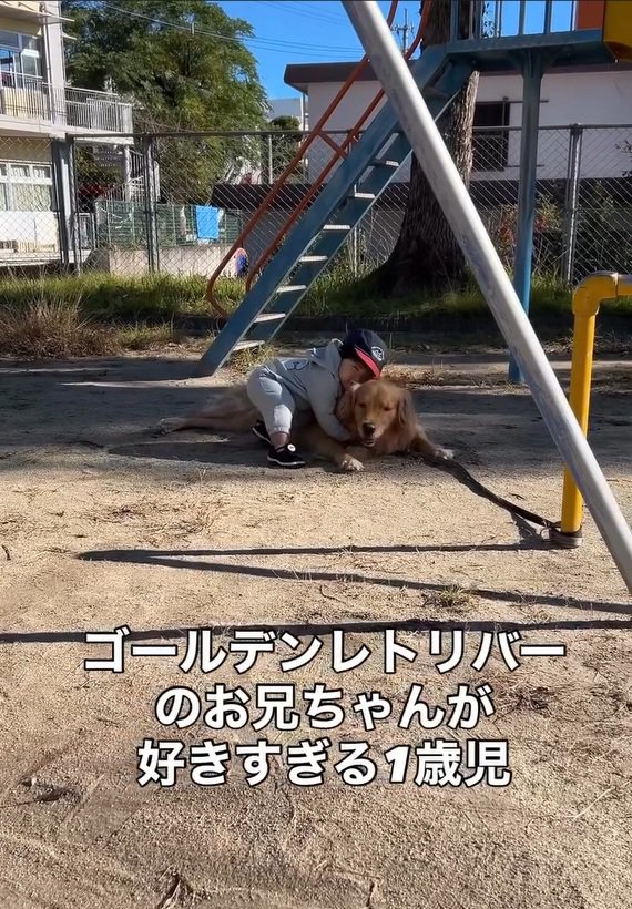 ぎゅーする息子さん