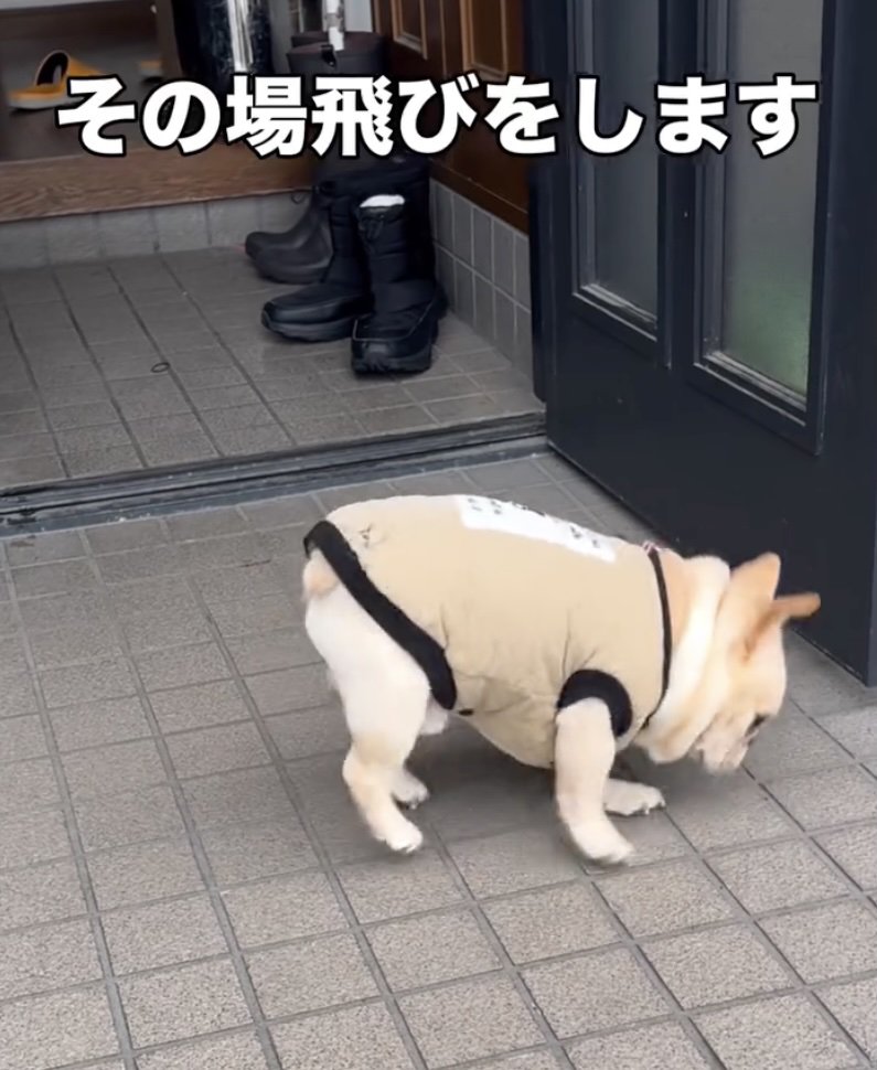 何度も何度もピョンッ
