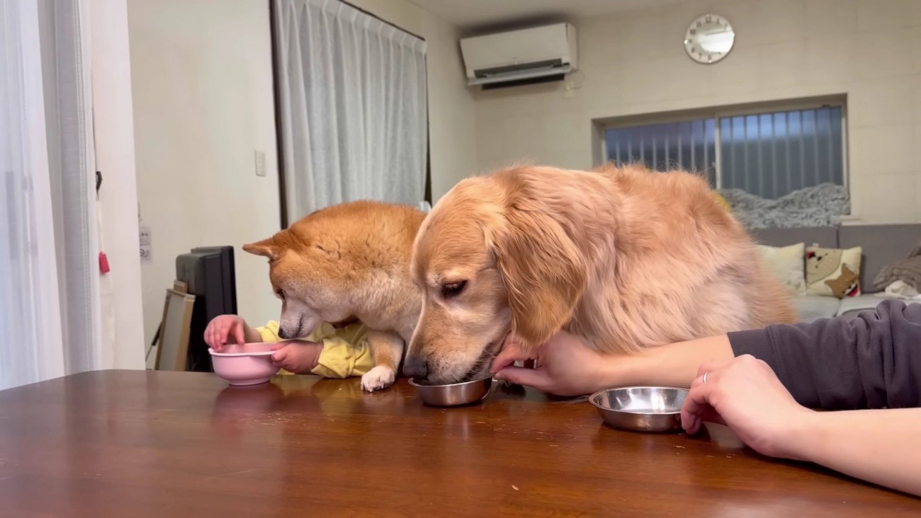 ほのちゃんのお芋をチラ見…