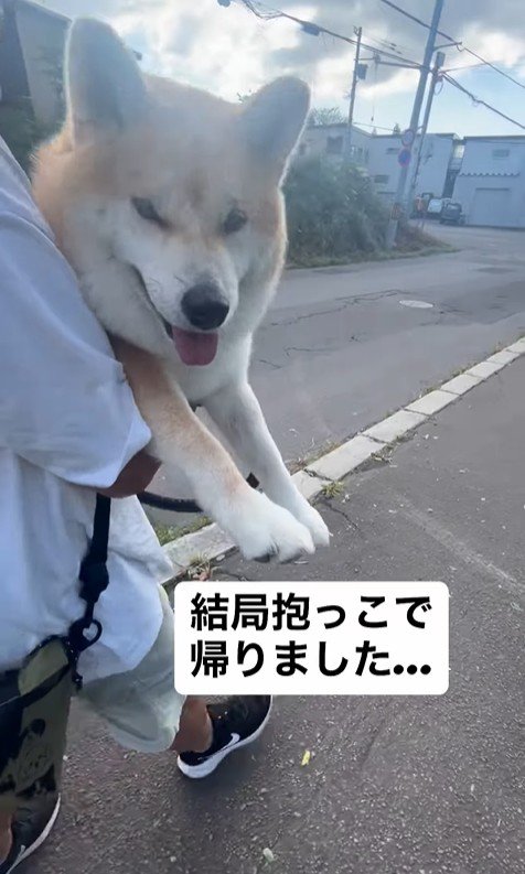 ぶん太くんとパパさんのお散歩⑩