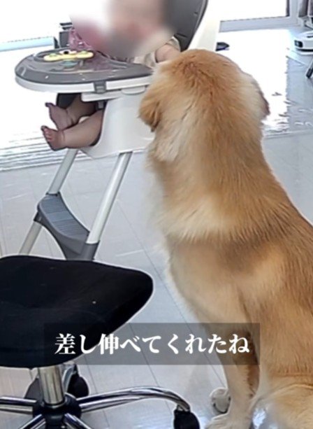 こてつくんと赤ちゃん