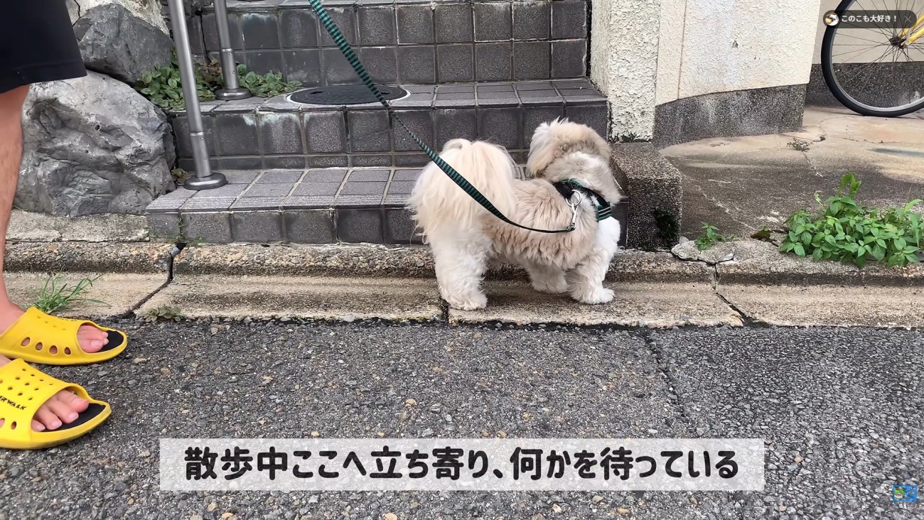あるお家の前で立ち止まります