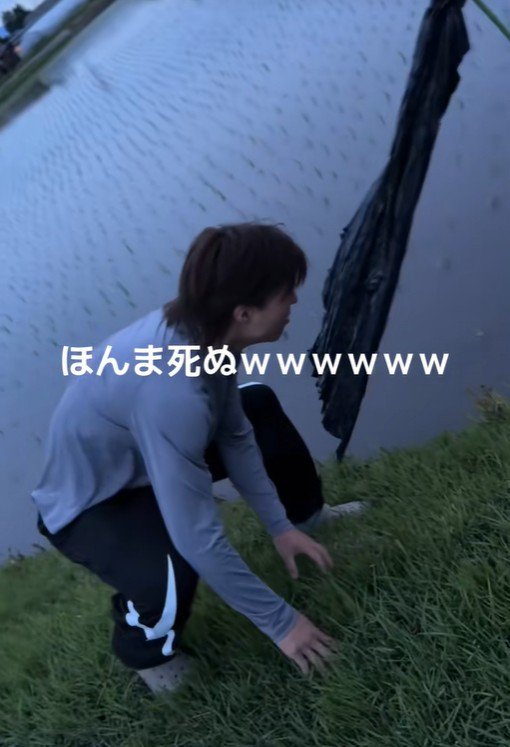 お散歩中のベイリーちゃんとパパ3