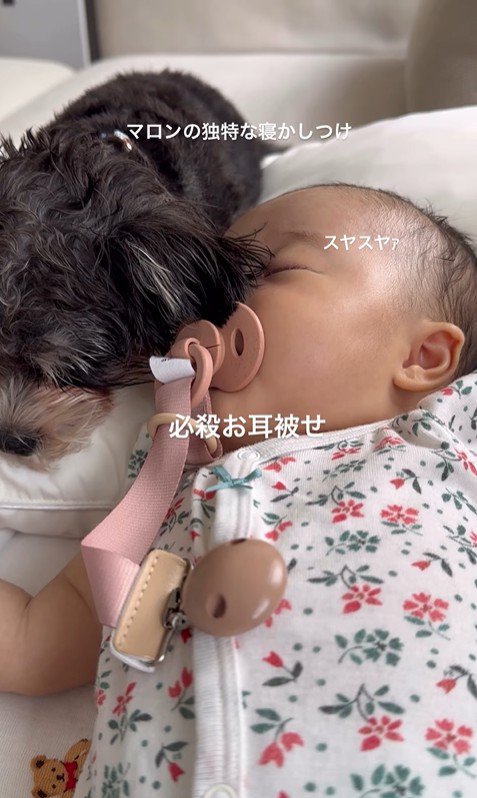 マロンちゃんと赤ちゃん5