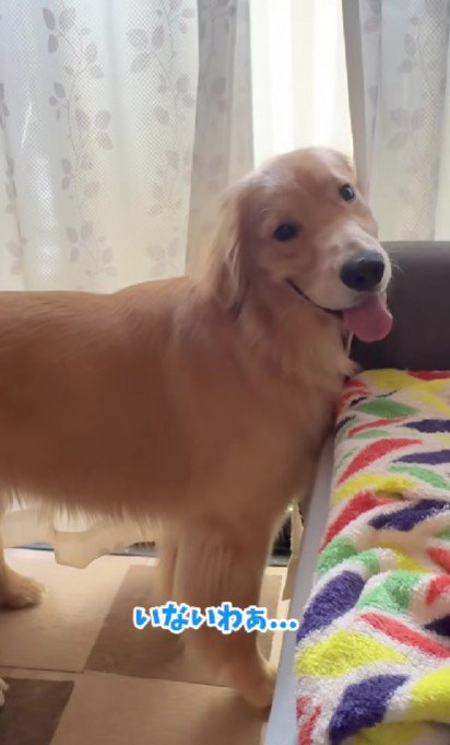 「いなかった」