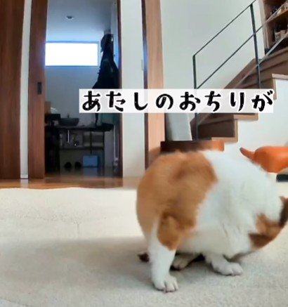 ここから鳴った…？