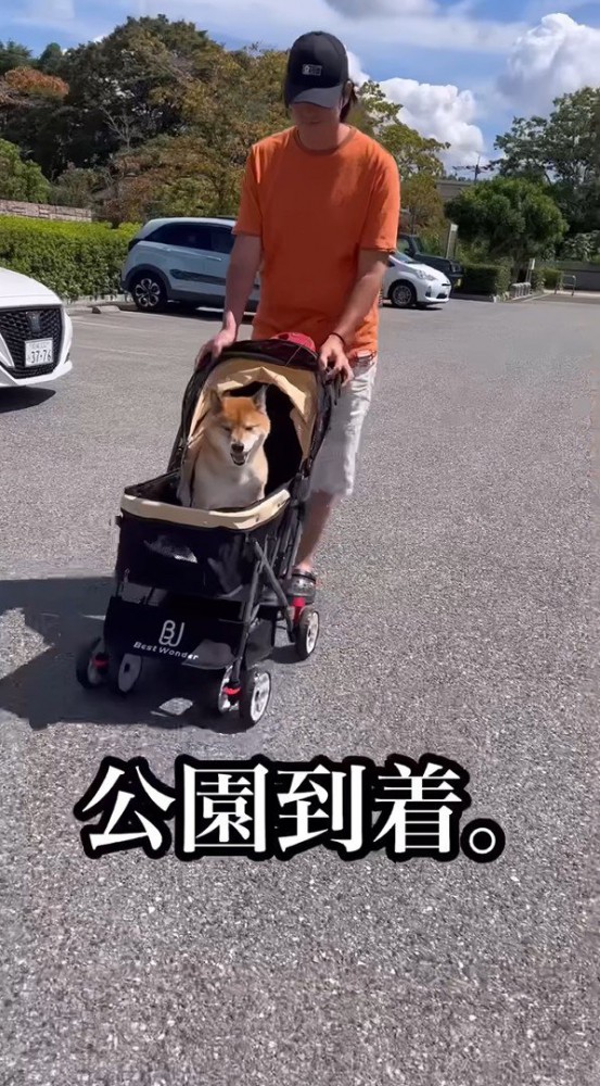 カートに乗ってお散歩スタート