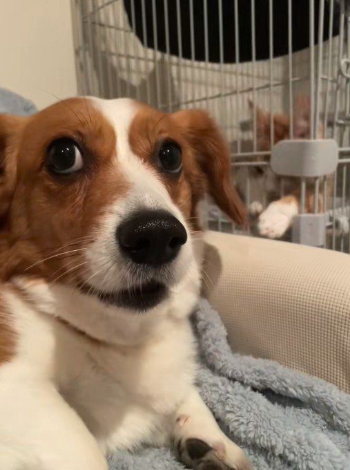 「今の見た！？」