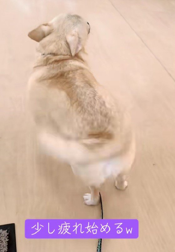 徐々に疲れが…