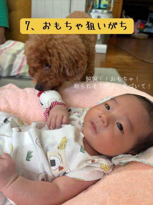 おもちゃにも興味津々！