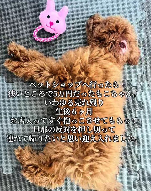 旦那さんの反対を押し切って…