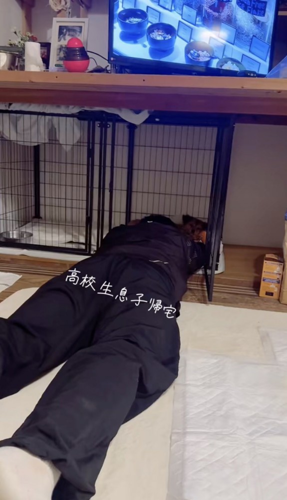 ケージでごろん！