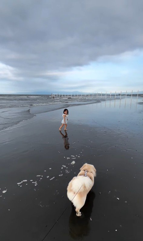 最近のこたつ君と赤ちゃん3