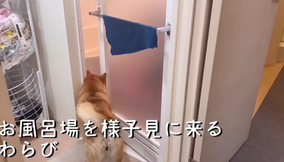 お風呂に偵察