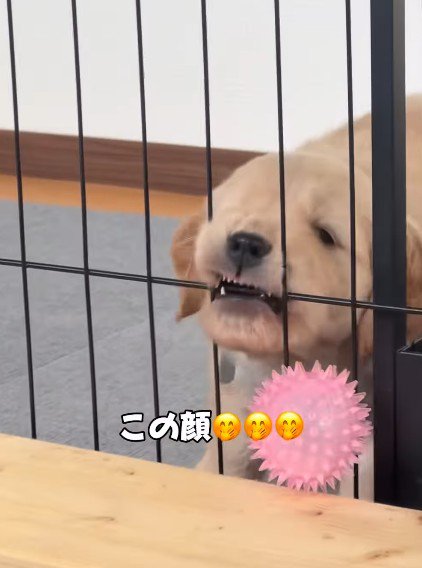 「ママ、行かないで～」