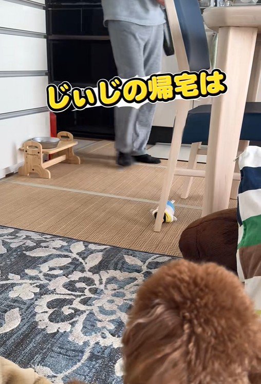 おじいちゃんが帰宅